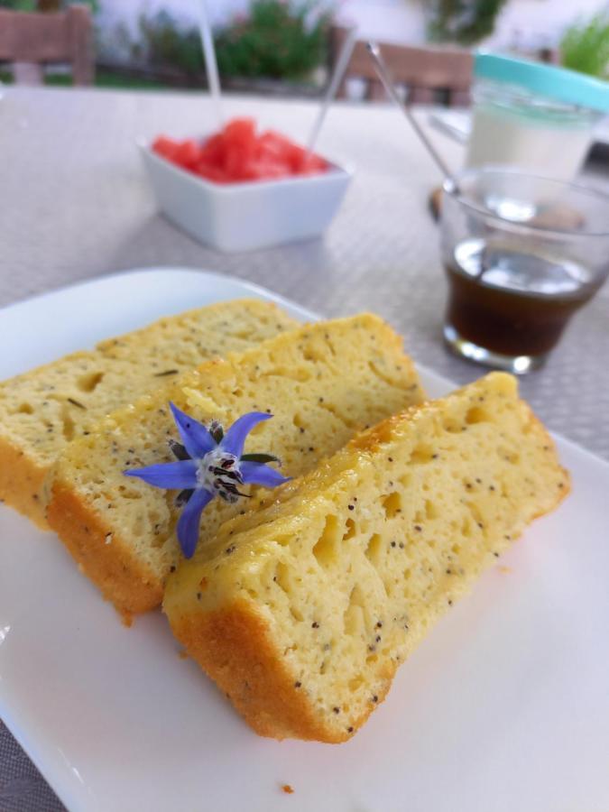 Terre En Vue Ξενοδοχείο Λα Ροσέλ Εξωτερικό φωτογραφία